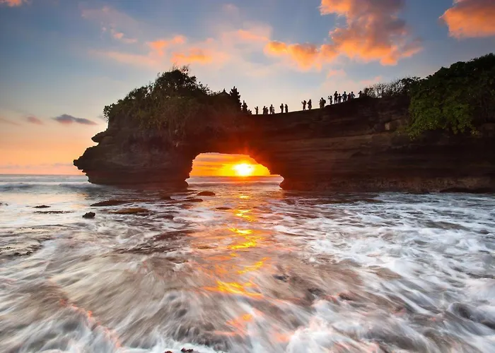 Aster Bali