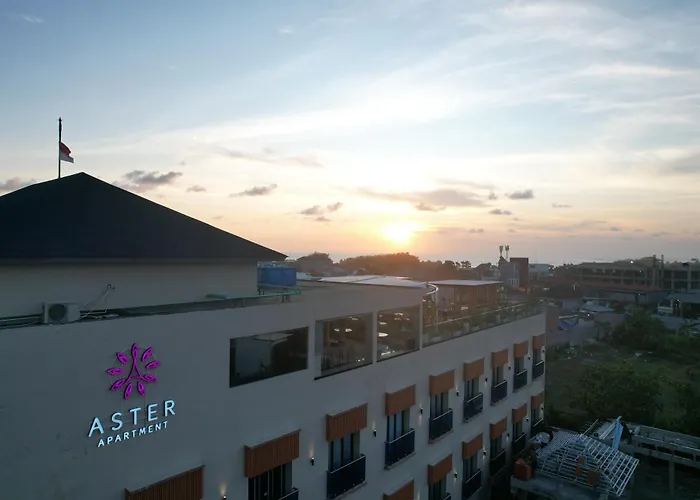 Aster Bali